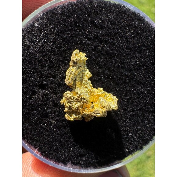 California Native Gold Crystal -  1.16 grams - Picture 4 of 4